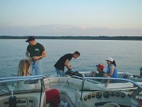 SGATHERING.jpg (15948 bytes)