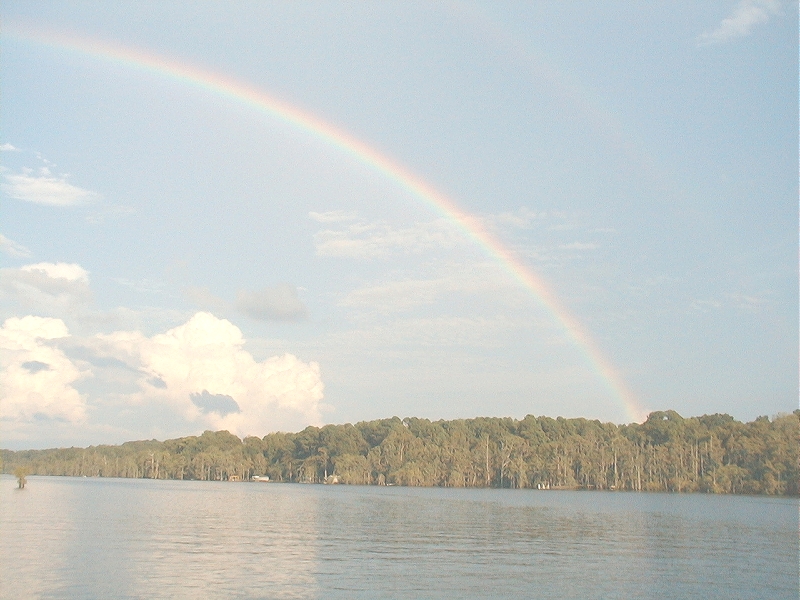 rainbow 800.jpg (362580 bytes)