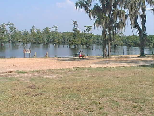 swim area.jpg (52778 bytes)